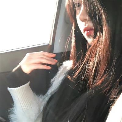 与鲨同泳在线观看